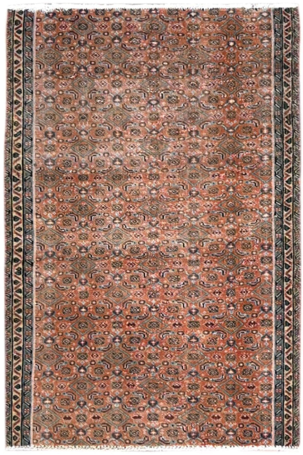 Savanna Brown Hand Knotted Persian Rug